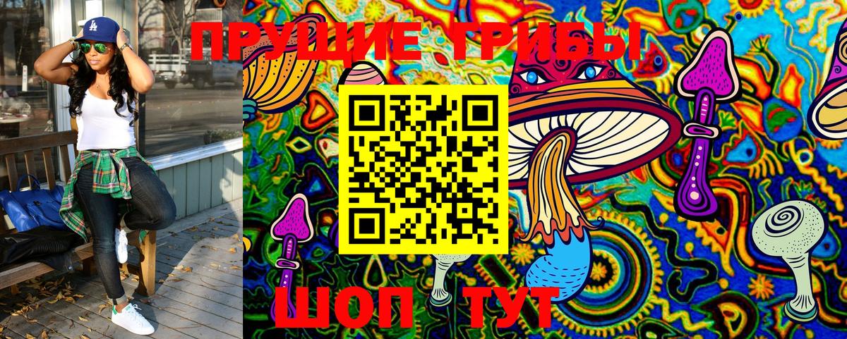 Крымск  Псилоцибиновые грибы MAGIC MUSHROOMS  Вход с VPN 